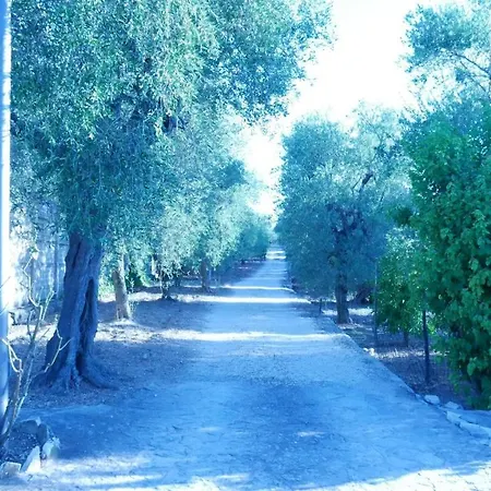 Bed & Breakfast Aspromonte Yellow House *